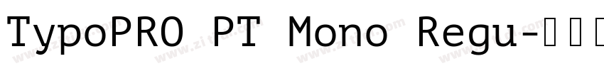 TypoPRO PT Mono Regu字体转换